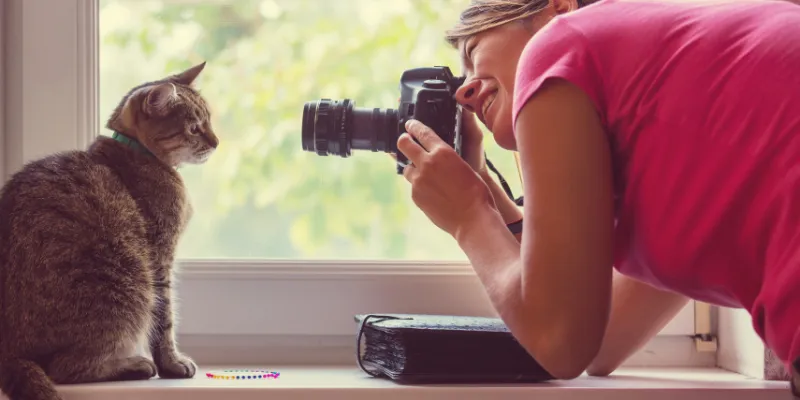 Sfaturi pentru fotografierea pisicilor și a câinilor - Cum să surprinzi cele mai frumoase și expresive momente ale companionului tău